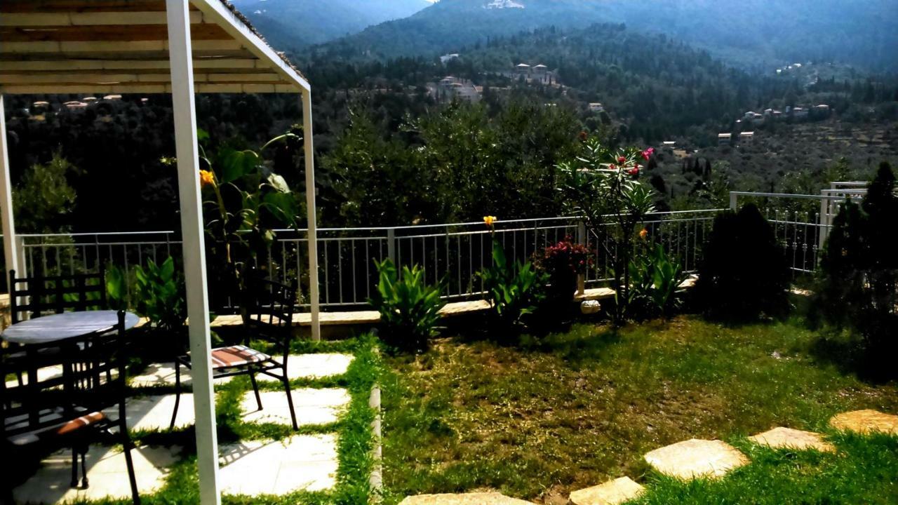 Vila Deep Blue-Apartment Selana Sea View Áyios Nikítas Kültér fotó
